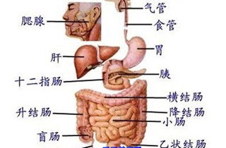 胃炎怎么治疗