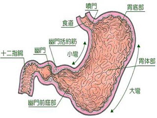 慢性胃炎打嗝